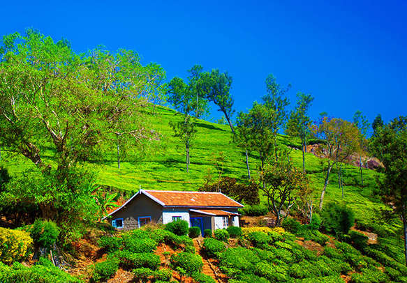 ADVENTUROUS FAMILY COORG PKG