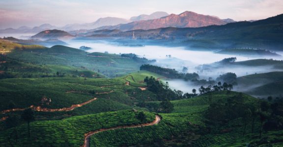 8NT & 9DYS VIBRANT  KERALA TOUR