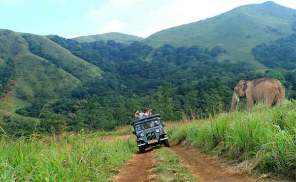 6NT & 7DYS  KERALA TREKKING TOUR